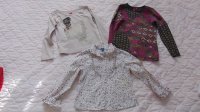 DSC02204.JPG