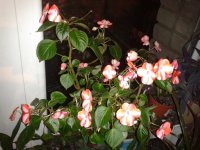 2015-11-30 22.28.48.jpg