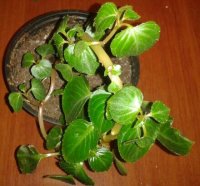 2015-09-16 21.55.23-1-1.jpg