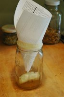fruitflytrap.jpg