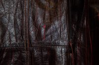 DSC_5661.jpg