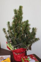 IMG_6716.JPG