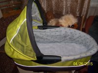 100_2426.JPG