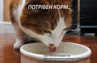 10422965_759884307476055_4132315466988050791_n.jpg