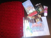 IMG_20151215_153449.jpg