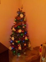IMG_20160101_161055.jpg