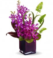 13161a_T812A-Telefloras-Island-Princess.jpg