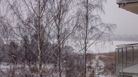 DSC_0305.JPG