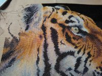IMG_20160114_235509.jpg
