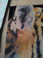 IMG_20160128_222442.jpg