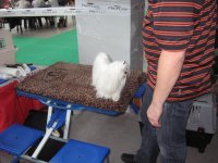 IMG_1835.jpg