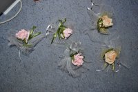 DSC_0612.JPG