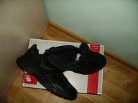 IMGP2461.JPG