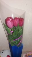 20160224_233828.jpg