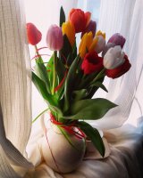 IMG_20160225_082245[1].jpg