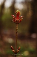 DSC_3629.jpg