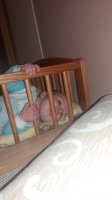 20160224_204717.jpg
