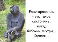 image (12).jpg