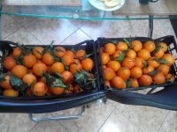 20160308091355.jpg