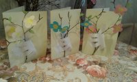 20160308_093436.jpg