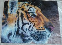 IMG_20160309_110933.jpg