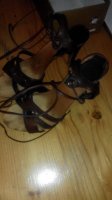 IMG_20160313_120503.jpg