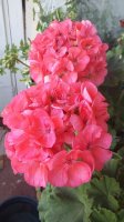 20150830_075345.jpg