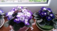 20150521_203140.jpg