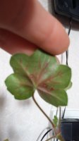 20160319_143405.jpg