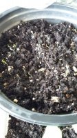 20160320_123620.jpg