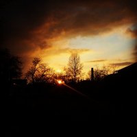 IMG_20160322_182437.jpg