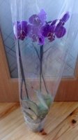 IMG_20160322_085433.jpg