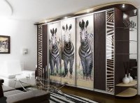 shkaf-kupe-foto (9).jpg