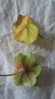 20160329_093824.jpg