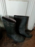 20160404_115214.jpg