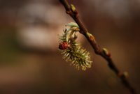 DSC_8603.jpg