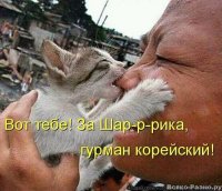 imageFTAYPVJB.jpg