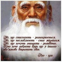 imageH9OF3W6D.jpg