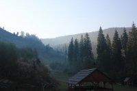 IMG_3882.JPG