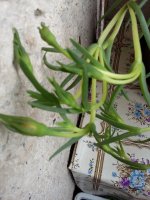 20160416_173352.jpg