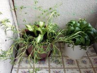 20160416_173318.jpg
