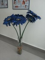 20150726_155734.jpg
