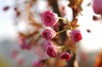 DSC_9204.jpg