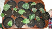 20160418_105233.jpg