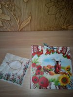 IMG_20160420_184053.jpg