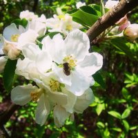 IMG_20160422_155550.jpg