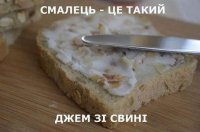 FB_IMG_1461350748556.jpg