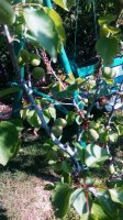 IMG_20160423_145341_330.jpg