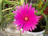 20160422_175329.jpg