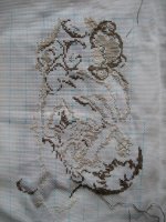 IMG_3437.JPG